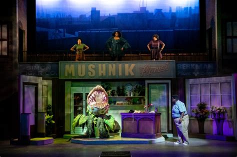  The Little Shop of Horrors, una comedia musical de terror ambientada en la Gran Depresión!